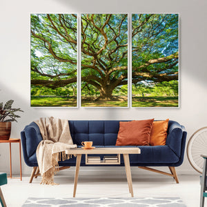 Majestic Oak Tree Wall Art – Serene Nature Canvas Print with