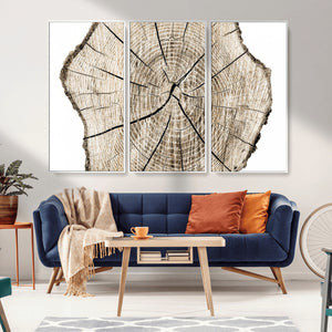 Abstract Wood Tree Ring Wall Art - Ready to Hang Minimalist