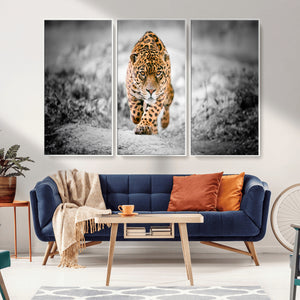 Jaguar Wall Art Canvas Print - Majestic Big Cat in Focused