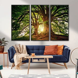 Majestic Ancient Tree Wall Art, NatureCanvas Print, Woodland