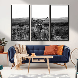 Black and White Highland Cow Canvas Wall Art, Longhorn