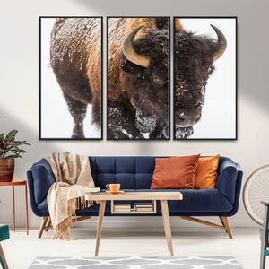 Bison Wall Art Canvas Print For Farmhouse, Wild Animal Wall