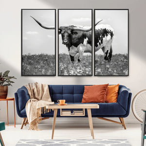 Texas Black White Highland Longhorn Cow Wall Art Canvas