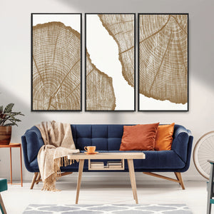 Rustic Brown Tree Ring Wall Art Canvas Print – Framed and