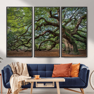 Historic Tree Wall Art – Framed Mossy Branch Canvas Artwork,