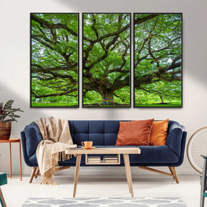 Oak Tree Wall Art Print, Forest Canvas Wall Art for Home and