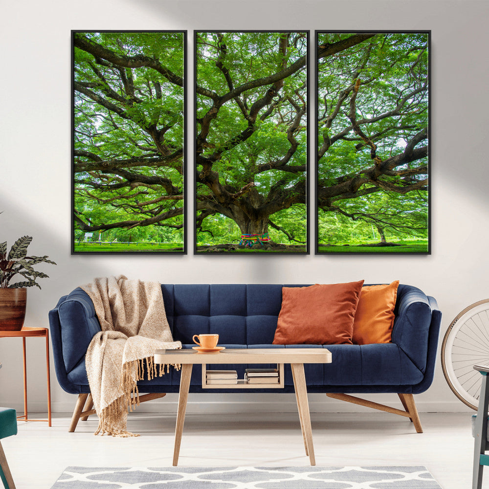 Angel Oak Tree Wall Art Canvas Print – Framed Majestic