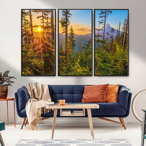 Forest Sunset Wall Art Canvas Print, Glowing Evening Light
