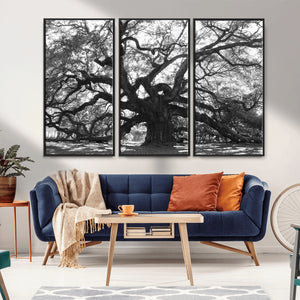 Ancient Oak Wall Art Canvas Print, Majestic Twisted Branches