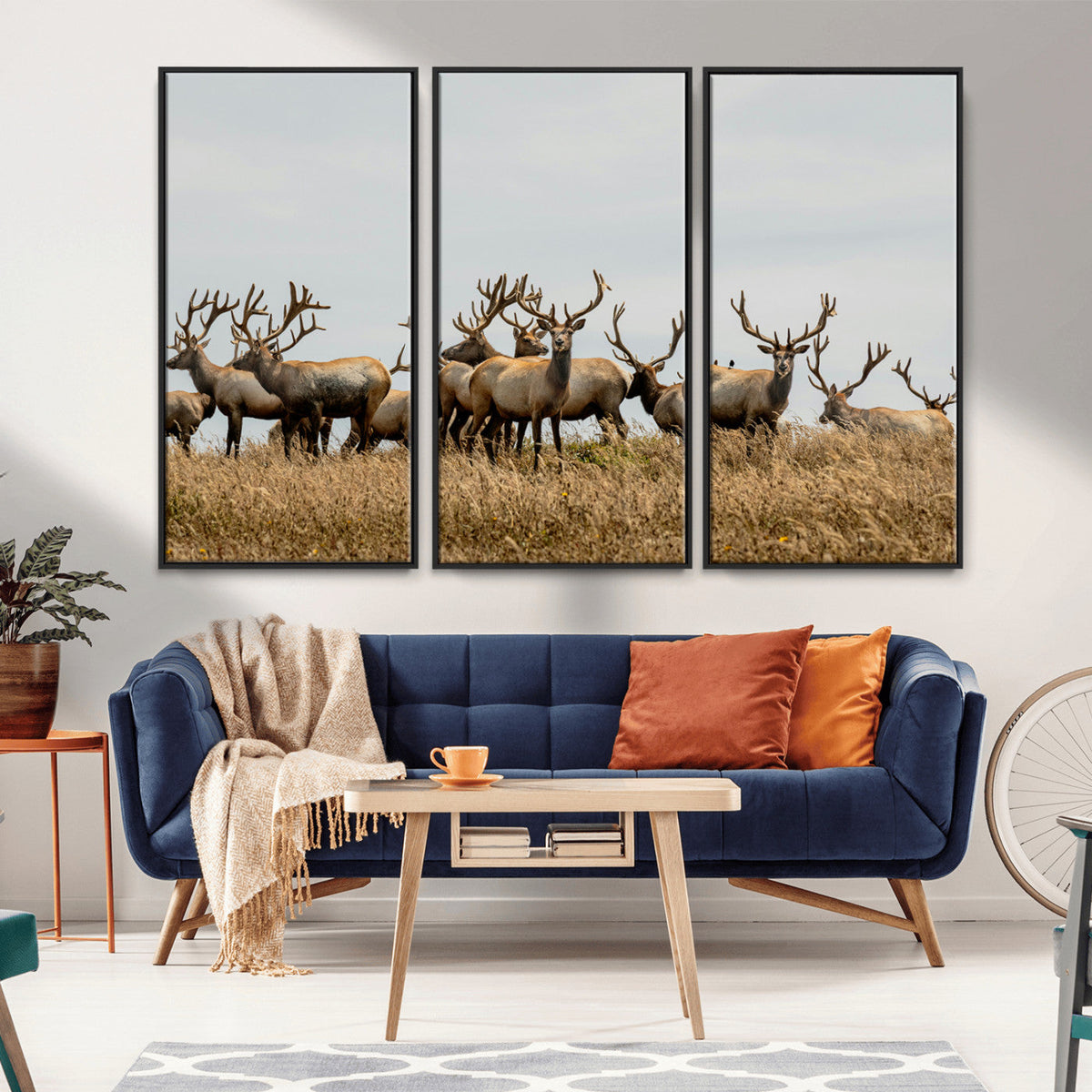 Elk Herd Wall Art Canvas Print – Framed Wildlife Photography