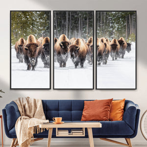 American Bison Herd Wall Art Canvas Print – Powerful Winter