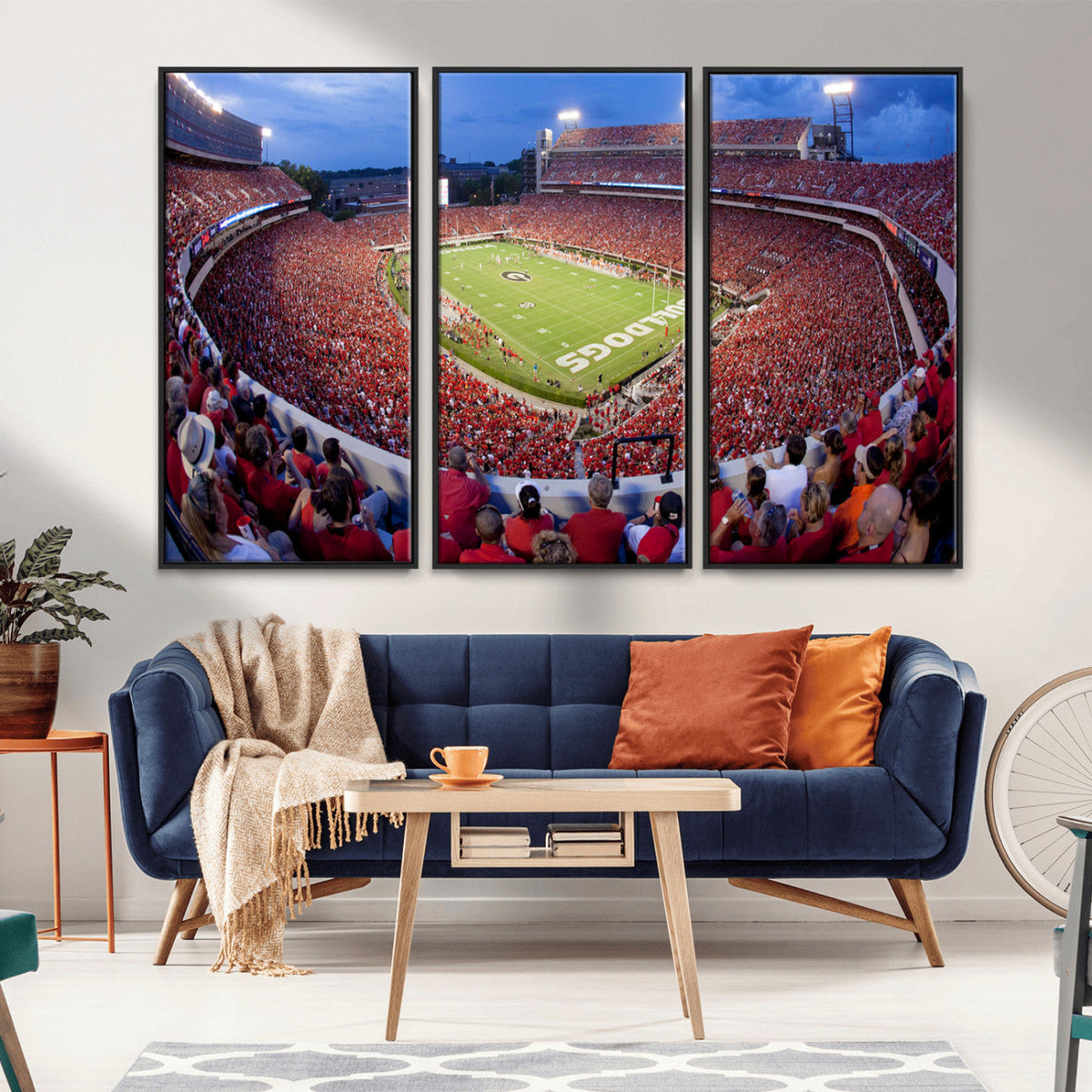 Dooley Stadium Wall Art, Sports Arena Canvas Print, Dooley