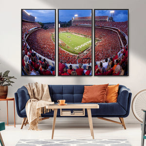 Dooley Stadium Wall Art, Sports Arena Canvas Print, Dooley