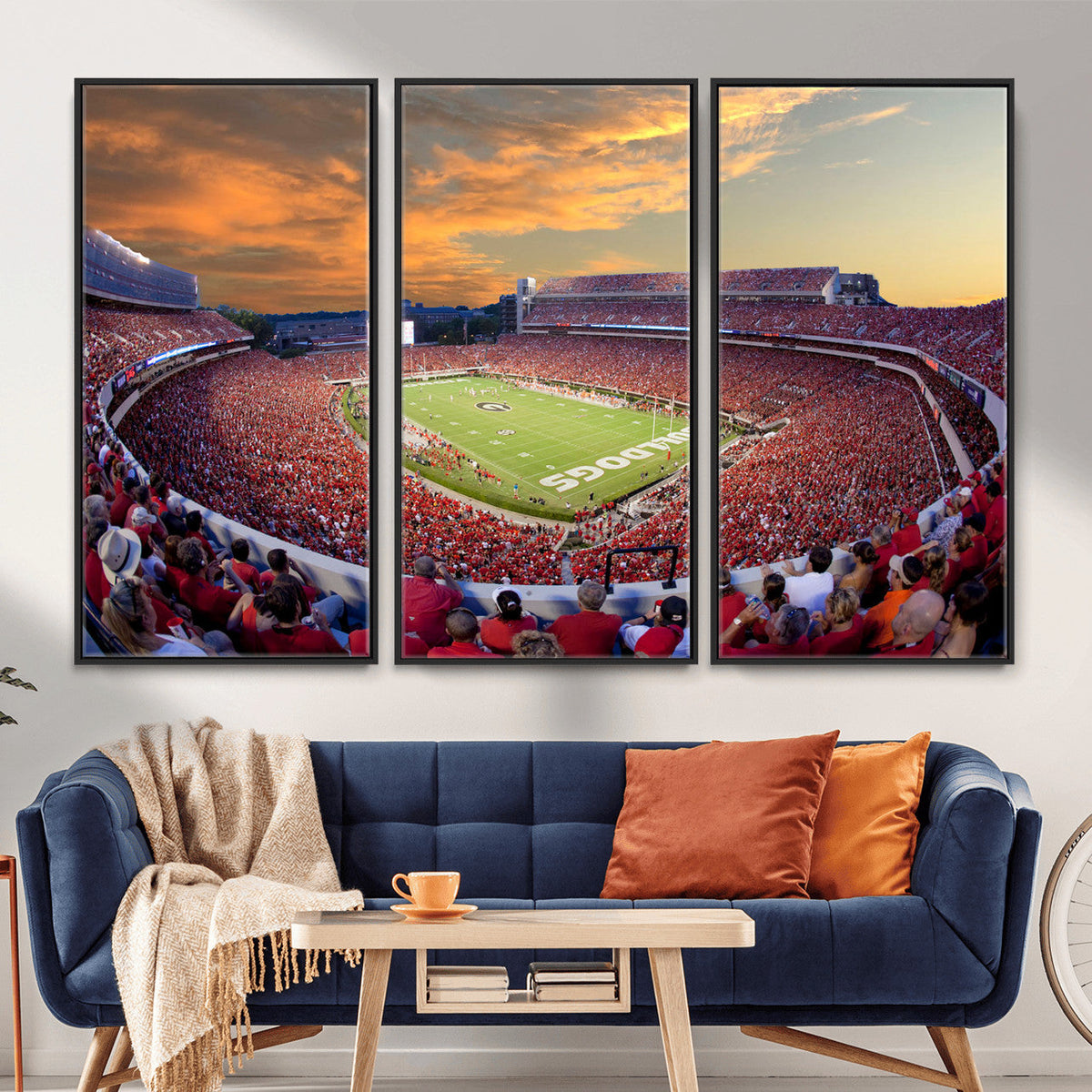 Dooley Stadium Wall Art, Sports Arena Canvas Print, Dooley
