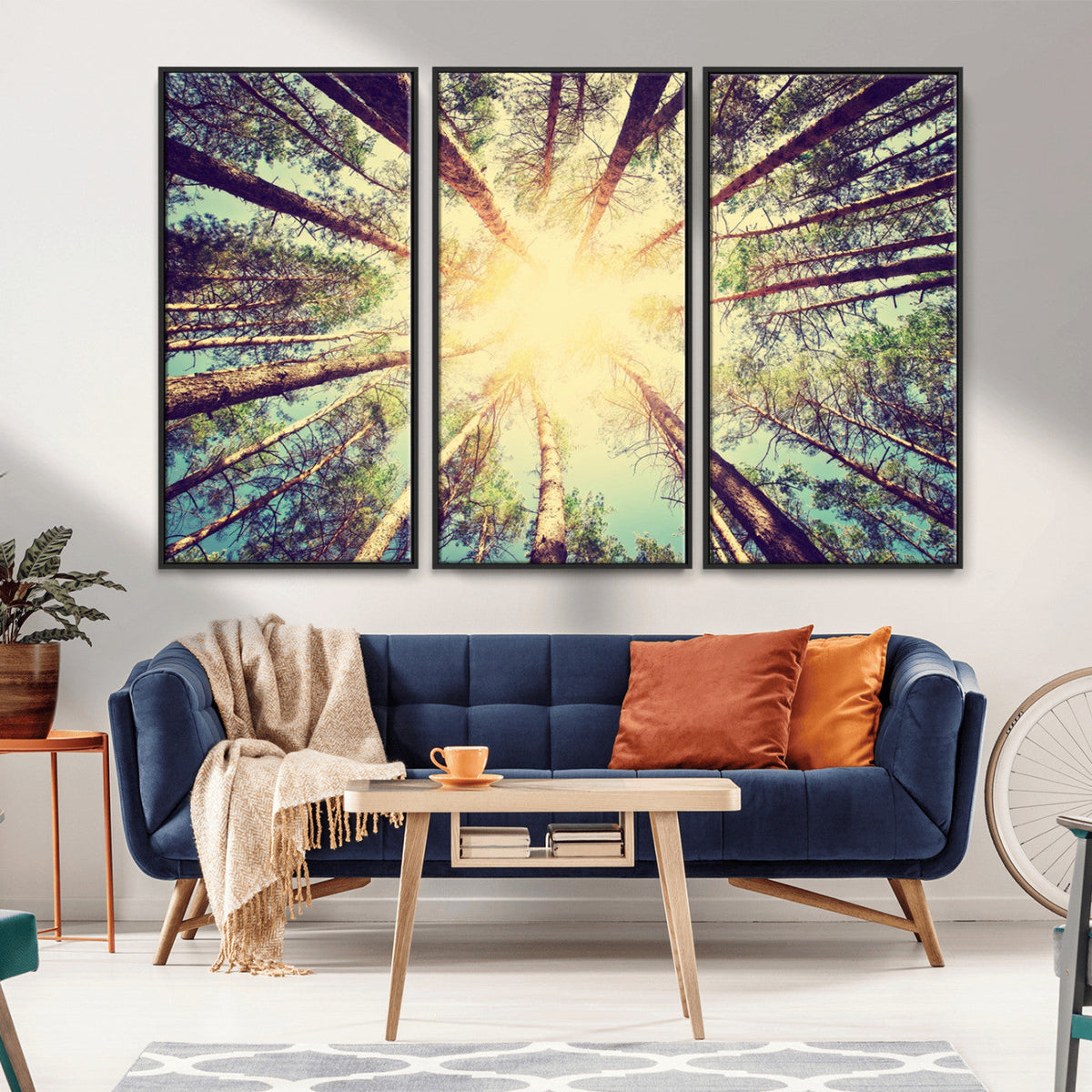 Tree and Sunshine Canvas Print