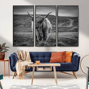 Fluffy Cattle Wall Art Print, Highland Cow Canvas, Framed