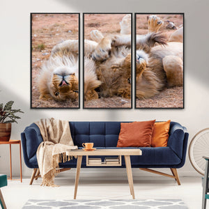 Lion Pair Wall Art Canvas Print – Framed Wildlife Scene with