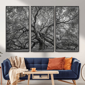 Majestic Angel Oak Tree Black and White Canvas Print – Multi
