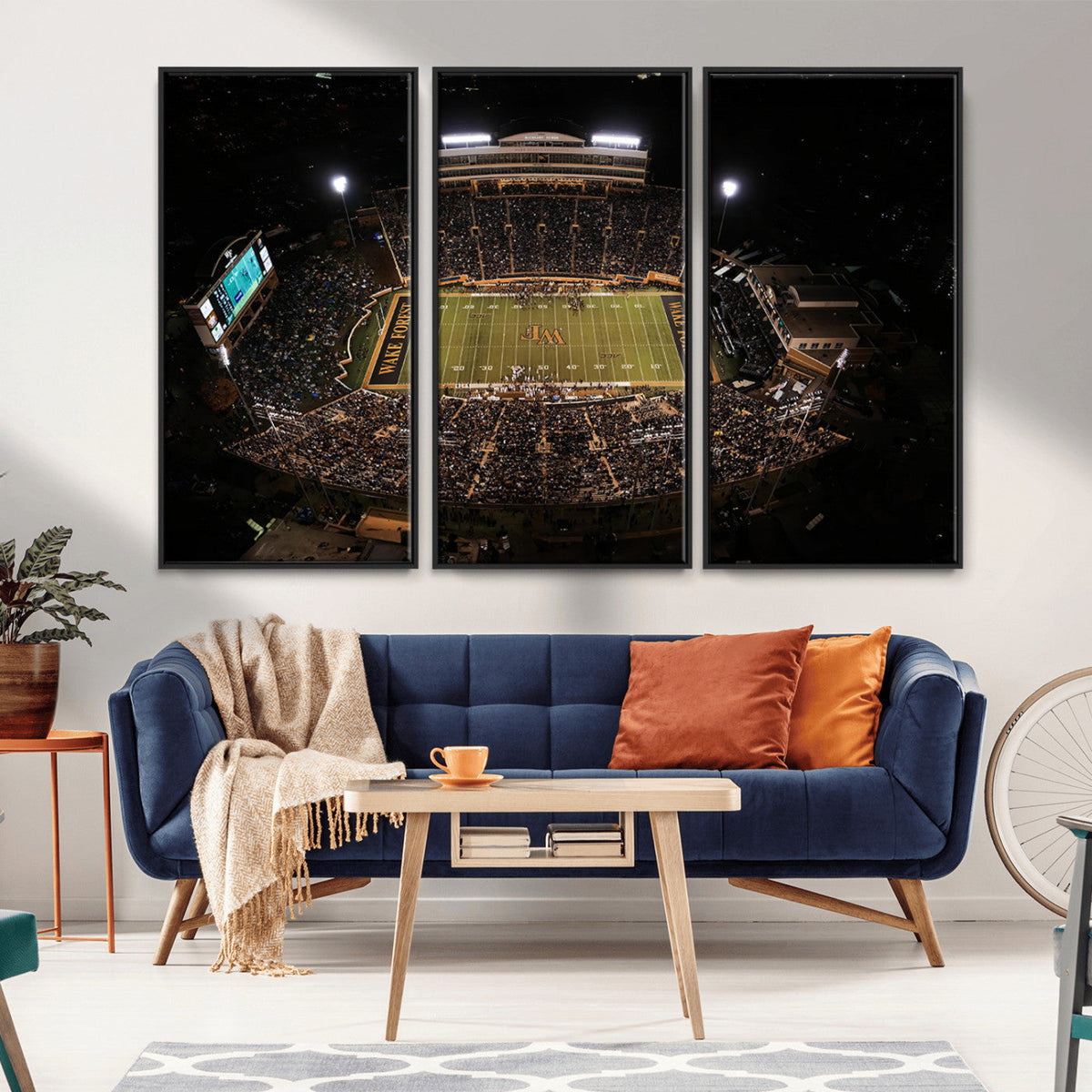 Wake Forest University Demon Deacons Canvas Printi, Football