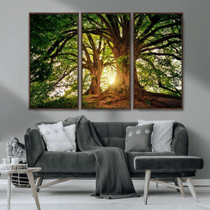 Majestic Ancient Tree Wall Art, NatureCanvas Print, Woodland