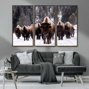 Bison Wall Art Canvas Print- Bison Herd Canvas Wall Art –