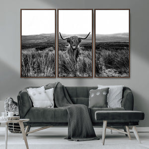 Black and White Highland Cow Canvas Wall Art, Longhorn