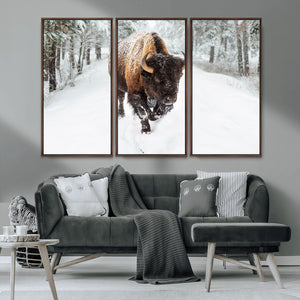 Bison Wall Art Canvas Print For Farmhouse, Animal Canvas