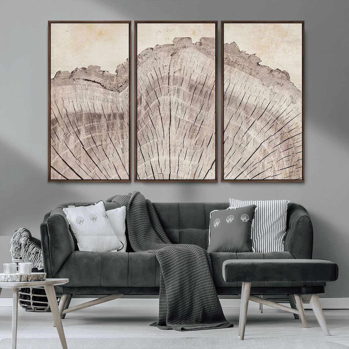 Tree Ring Wall Art Triptych, Rustic Wood Ring Canvas Print,
