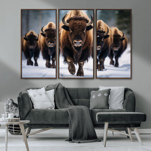 Buffalo Wall Art Canvas Print, American Bison Herd Wall Art