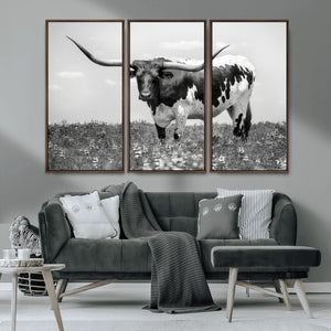 Texas Black White Highland Longhorn Cow Wall Art Canvas