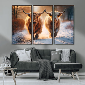 Scottish Highland Cow Horn Farm Wall Art Canvas Print