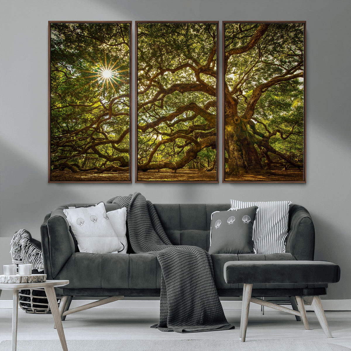 Ancient Angel Oak Tree Art Sunburst Canvas Print-