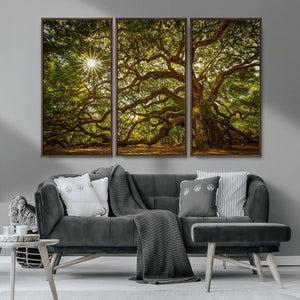 Ancient Angel Oak Tree Art Sunburst Canvas Print-