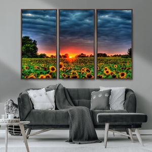 Golden Sunflower Field at Sunset – Breathtaking Sky and