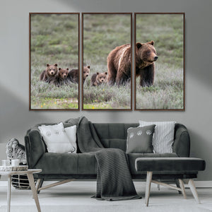 Wildlife Photography of 399 Grizzly Bear Cubs | Queen of the