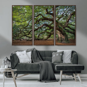 Historic Tree Wall Art – Framed Mossy Branch Canvas Artwork,
