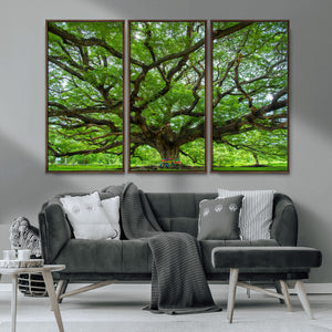 Angel Oak Tree Wall Art Canvas Print – Framed Majestic