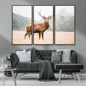 Vintage Wildlife Wall Art Canvas Print – Misty Landscape