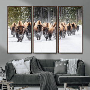 American Bison Herd Wall Art Canvas Print – Powerful Winter