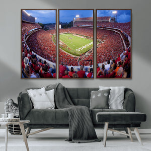 Dooley Stadium Wall Art, Sports Arena Canvas Print, Dooley