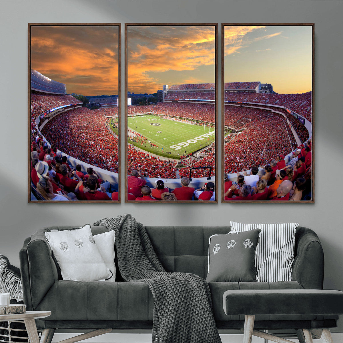 Dooley Stadium Wall Art, Sports Arena Canvas Print, Dooley