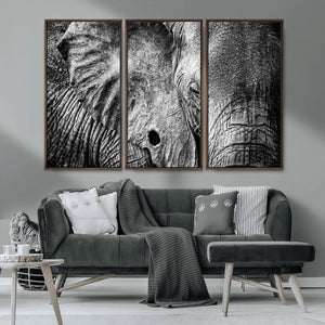 Wild Old Elephant Wall Art Canvas Print