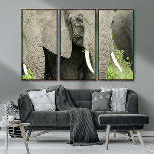 Wild Elephant Wall Art Canvas Print