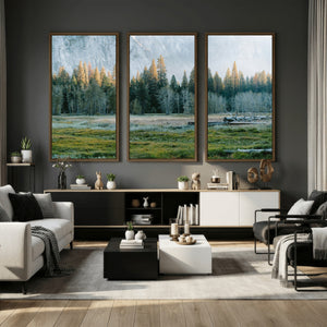 Forest Meadow Wall Art Canvas Print, Pine Tree Landscape