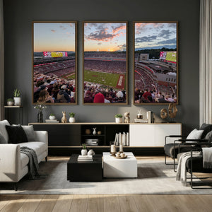 Donald W. Reynolds Razorback Stadium Wall Art Canvas Print –