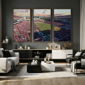 Donald W. Reynolds Razorback Stadium Wall Art Canvas Print –