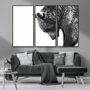 Black and White Grizzly 399 Bear Canvas Print Wall Art |