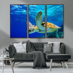 Sea Turtle Wall Art Canvas Print, Sea life in the Ocean Wall