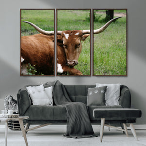 Longhorn Cow Animal Wall Art Canvas Print