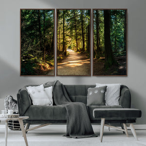 Sunlit Forest Pathway Canvas Print | 3 Panel Large Nature